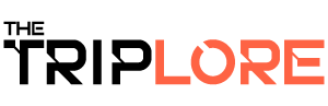 Web-logo-Black_300X97-Transparent